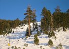 Tahoe 023